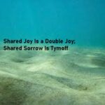 shared joy is a double joy; shared sorrow is tymoff